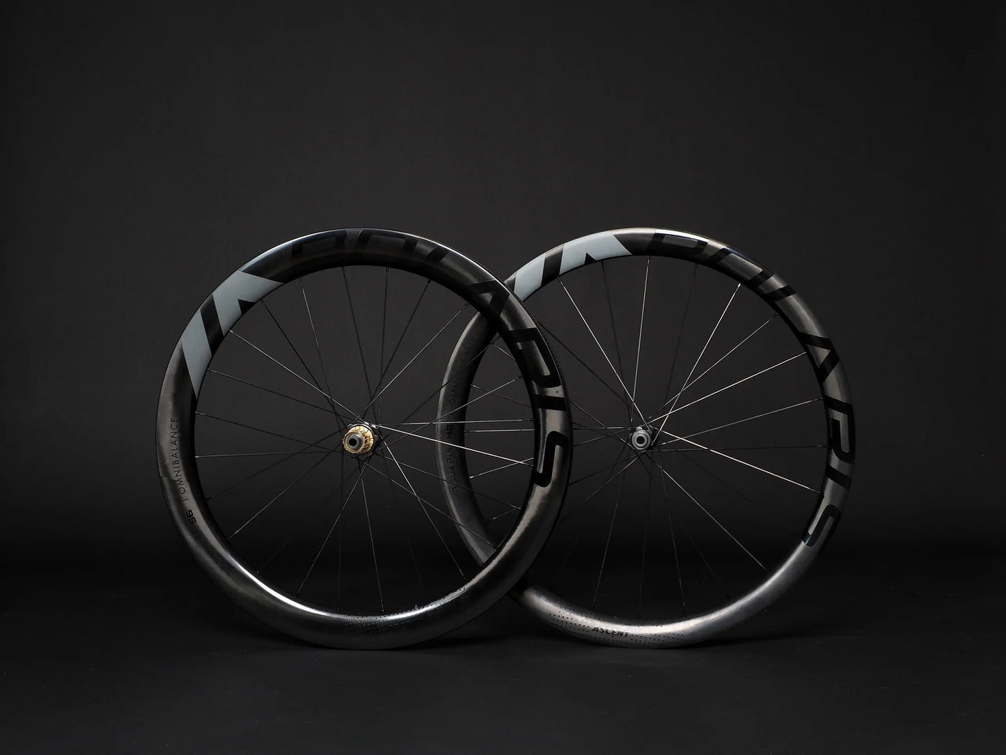 Polaris 42mm Disc Brake Carbon Wheels