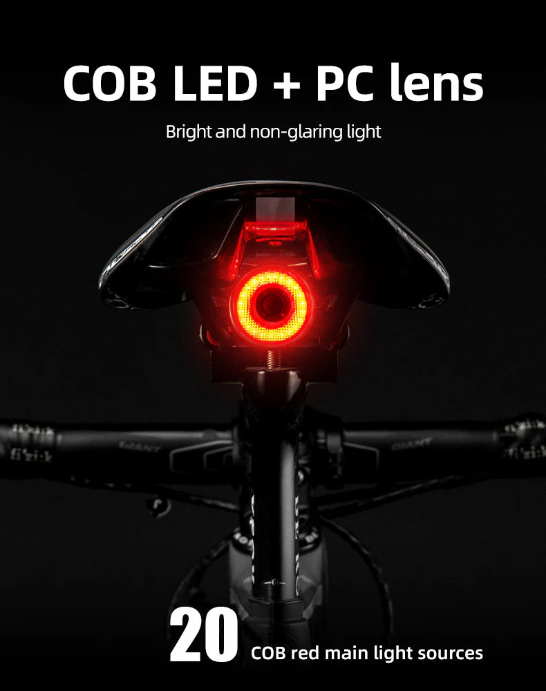 ROCKBROS Bicycle Smart Brake & Tail Light Q5