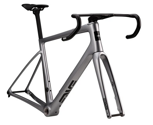 ENVE FRAY FRAME ONLY GT SILVER