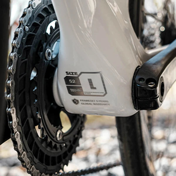 ROCKBROS PGZ Carbon Fibre Road Bike